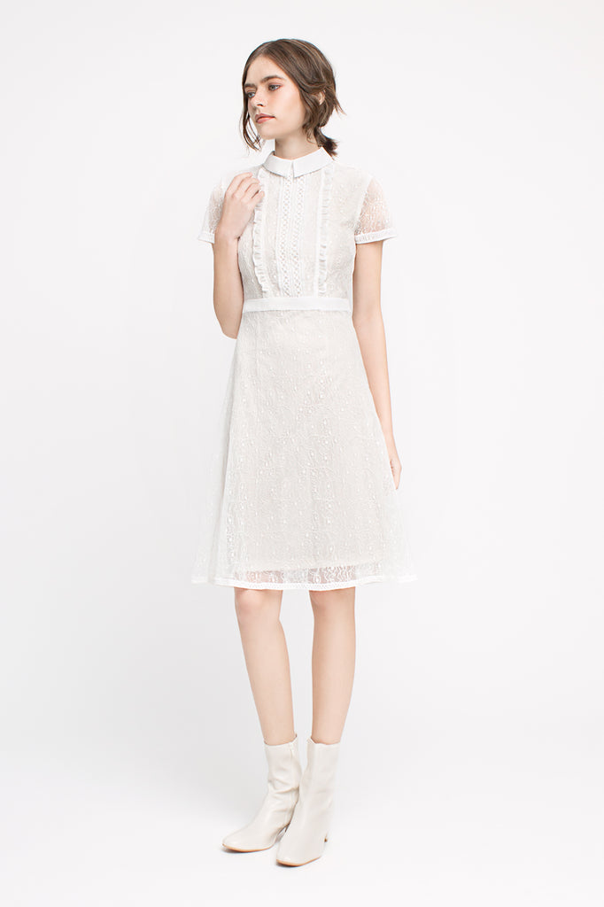 Lace Collared Dress