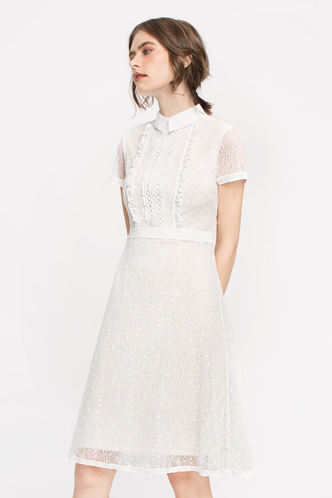 Lace Collared Dress