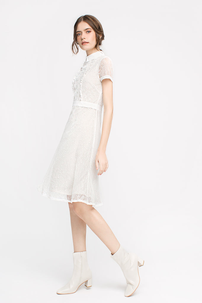 Lace Collared Dress