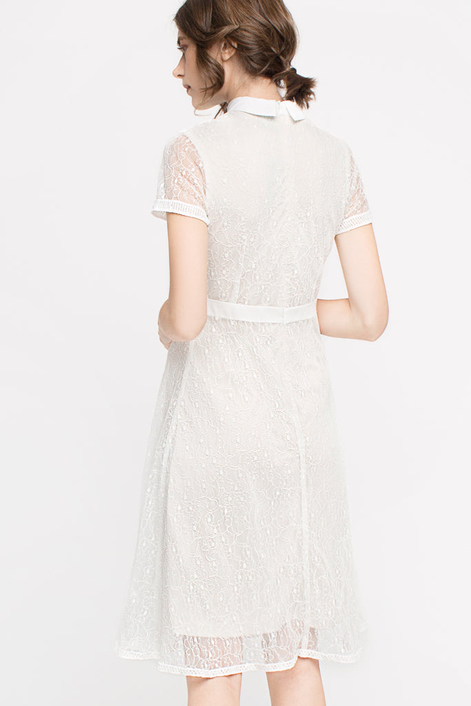 Lace Collared Dress