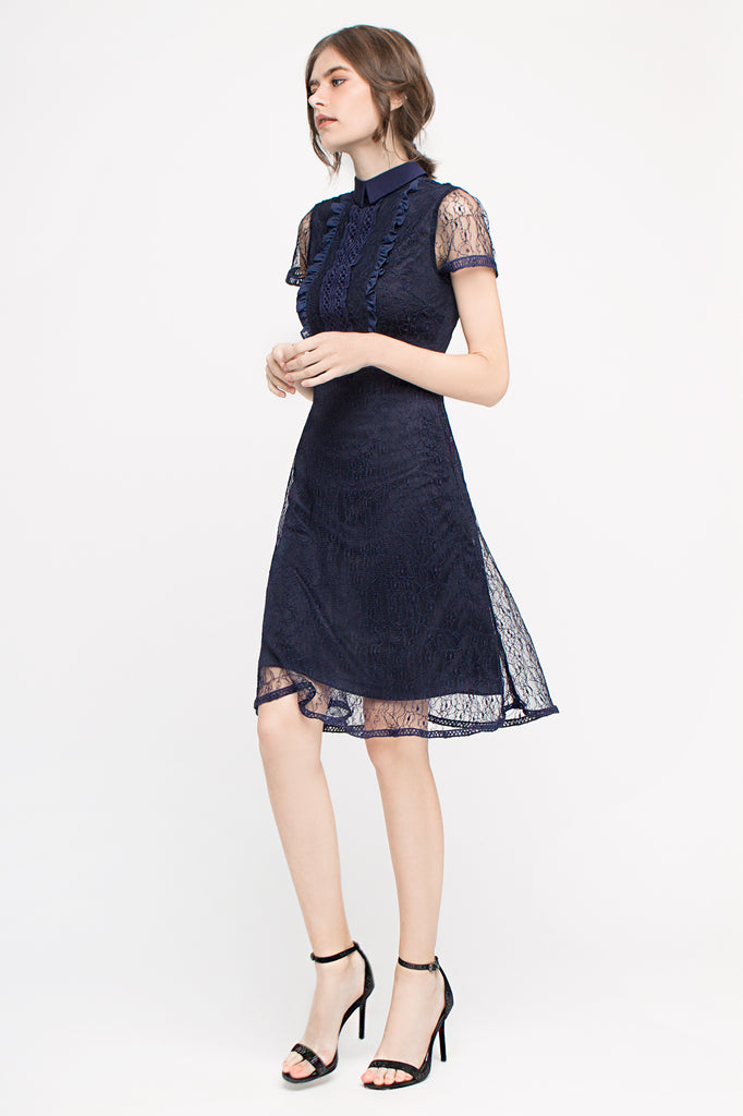 Lace Collared Dress